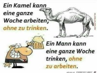 Ein kamel kann eine ganze Woche arbeiten