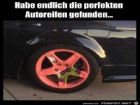 perfekte Autoreifen gefunden