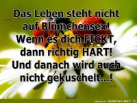 Das Leben steht nicht auf Bl�mchensex