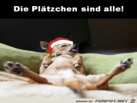 Zu viele Pl�tzchen