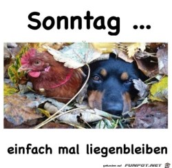 Sonntag.jpg auf www.funpot.net