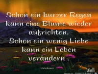 schon ein kurzer regen