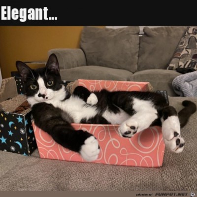 Sehr-elegant.jpg von Matteo