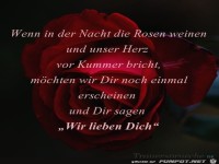 Wenn in der Nacht die Rosen weinen