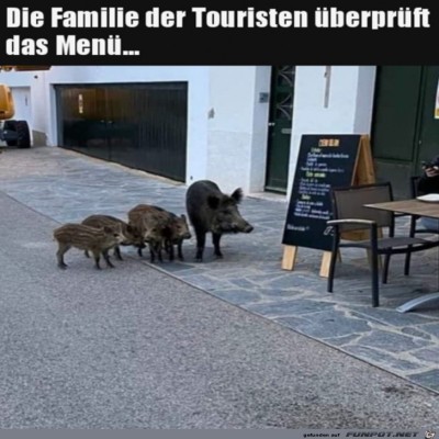guckt-euch-die-Karte-an.jpg von Harald48