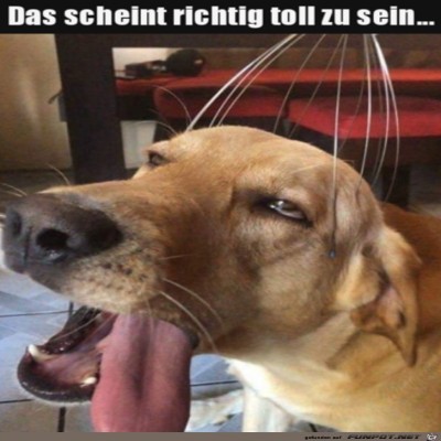 Das-tut-gut.jpg von Lasse