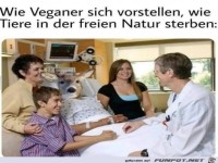 So ist es nicht ganz
