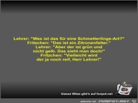 Lehrer: Was ist das fr eine Schmetterlings-Art?