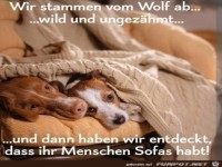 Wild und ungez�hmt