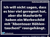 Ich will nicht sagen