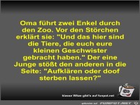 Oma fhrt zwei Enkel durch den Zoo