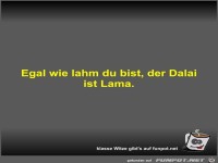Egal wie lahm du bist