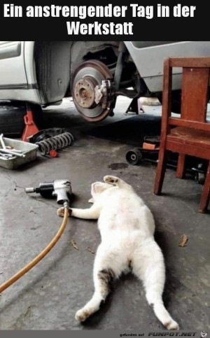 Ein-anstrengender-Tag.jpg auf www.funpot.net