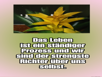 das leben ist ein st�ndiger prozess
