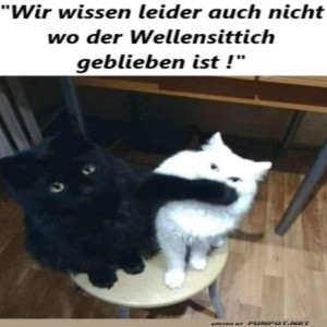 fun-Bild: Das wissen wir auch nicht