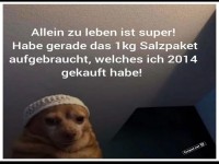 Allein zu leben ist super!