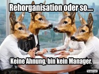 Tierisch verwirrte Meeting-Strategien!