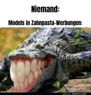 Ein-strahlendes-Krokodil-Lcheln.jpg auf www.funpot.net