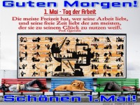 Hunde und Katzen feiern den 1. Mai!