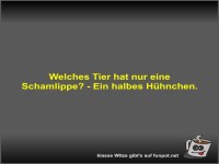 Welches Tier hat nur eine Schamlippe?