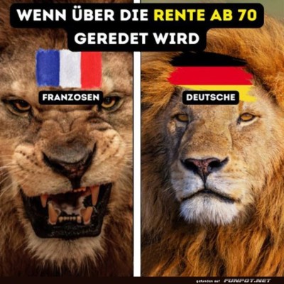 Rentenl&ouml;wen-im-L&auml;ndervergleich.jpg von Phil-1986