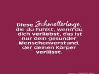 Wenn Schmetterlinge Verstand haben!