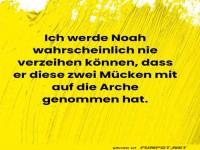Danke, Noah ? für nichts!