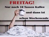 Freitag: �berlebensstrategie
