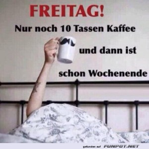 Freitag:-Überlebensstrategie.jpg von Michelle