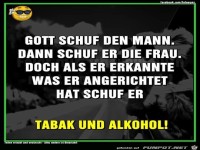 gott schuf
