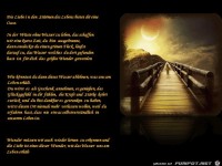 die Liebe in den Stuermen des Lebens