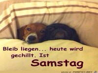 Samstag