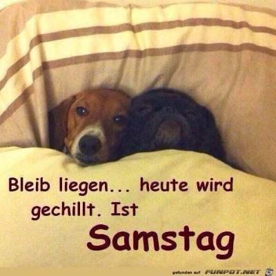 Samstag.jpg von Steffen