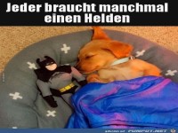 jeder braucht einen Helden...