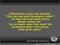 2 Blondinen unter der Dusche