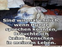 Hunde sprechen