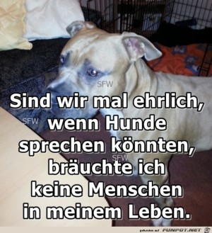 Hunde-sprechen.jpg auf www.funpot.net