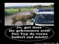 Gut das ihr gekommen seid