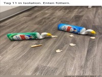 Enten f�ttern