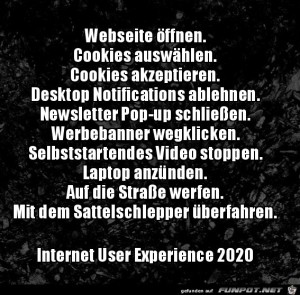 Die-Interneterfahrung-2020.jpg auf www.funpot.net