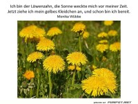 Ich bin der Loewenzahn