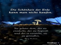 Die Schönheit der Erde