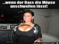 Bass l�sst M�pse schwellen