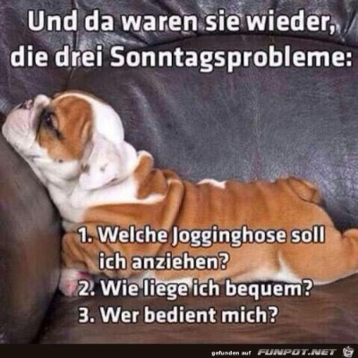 Sonntagsprobleme.jpg von Keule56