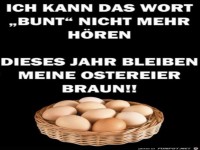 Es werden keine Eier gefärbt