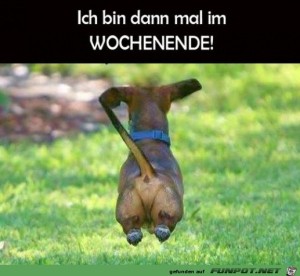 Begrüßungsbild