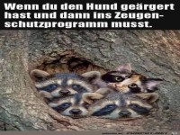 Den Hund ge�rgert