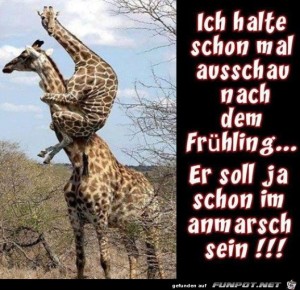 Begrüßungsbild
