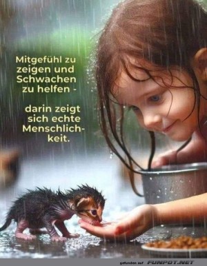 Mitgefhl.jpg auf www.funpot.net