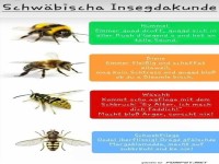 Insektenkunde auf schwäbisch